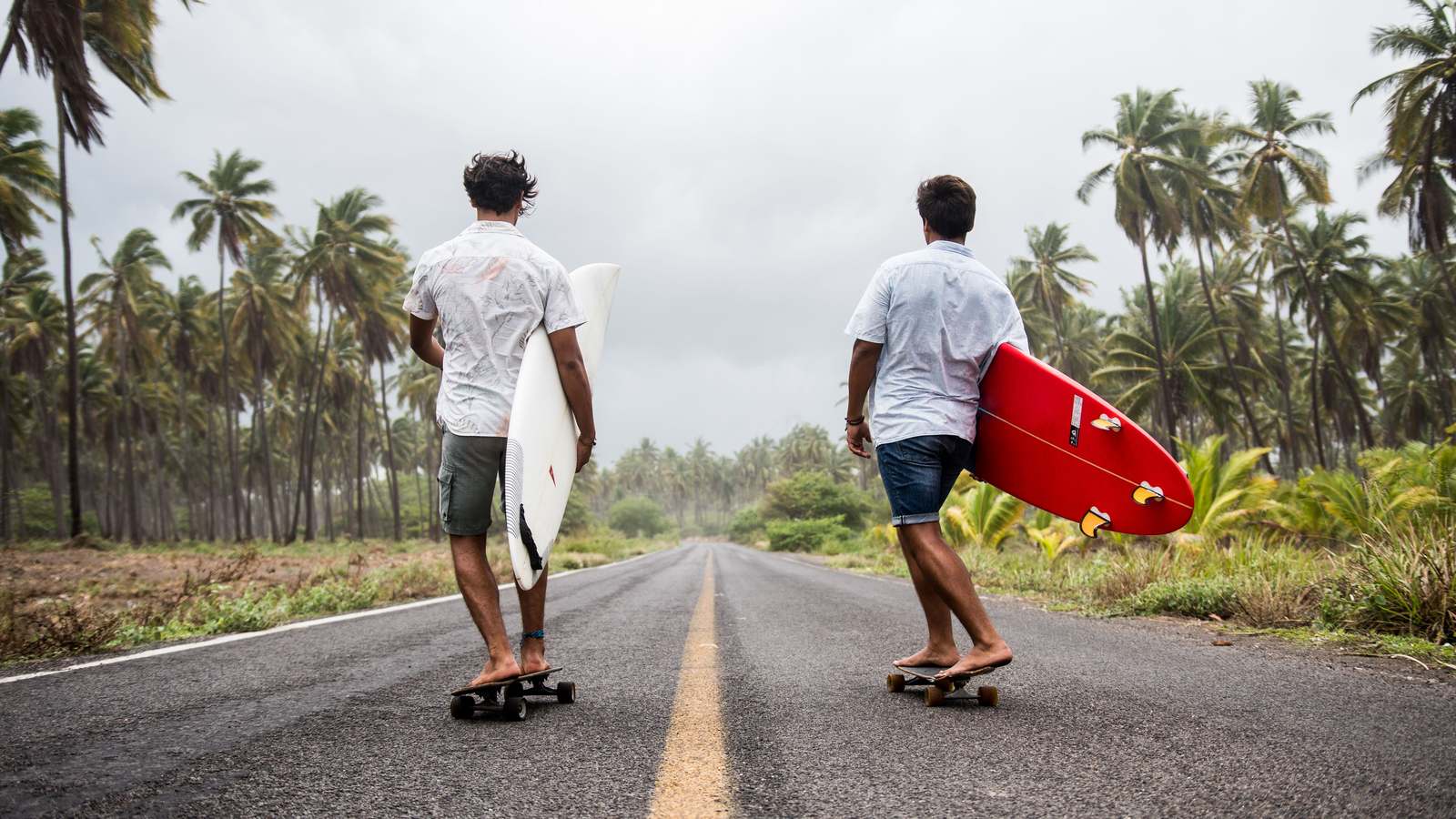 10 stu Deux personnes sur des skateboards portant des planches de surf sur une route bordée de palmiers
